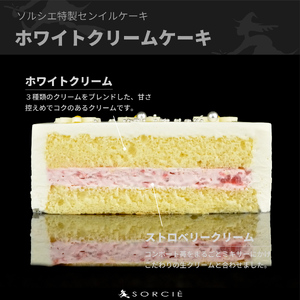 【着日指定可】クリスマスケーキ センイルケーキ  4号 直径13.5cm 2人～4人分 285g 【クリスマス飾り付】【ホワイトカラー】 スイーツ ギフト | デザート ケーキ お菓子 洋菓子 冷凍 着日指定 お誕生日 誕生日 ギフト お祝い 愛媛県 松山市【IT028white】