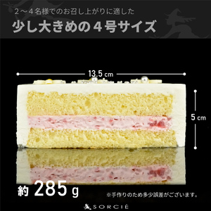 【着日指定可】クリスマスケーキ センイルケーキ  4号 直径13.5cm 2人～4人分 285g 【クリスマス飾り付】【ホワイトカラー】 スイーツ ギフト | デザート ケーキ お菓子 洋菓子 冷凍 着日指定 お誕生日 誕生日 ギフト お祝い 愛媛県 松山市【IT028white】