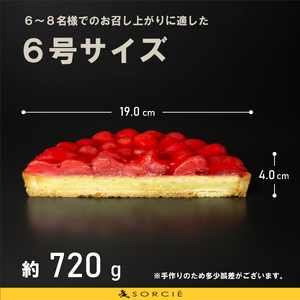 【着日指定可】誕生日ケーキ 苺 のコンポート タルトケーキ 6号 直径19cm 6人～8人分 720g 【バースデー飾り付】 スイーツ ギフト いちご | デザート ケーキ お菓子 洋菓子 冷凍 着日指定 お誕生日 誕生日 ギフト お祝い 愛媛県 松山市【IT016】