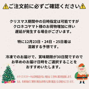 【クリスマスケーキ】【着日指定可】クリスマス モンブラン 4号  愛媛県松山市【IT023】