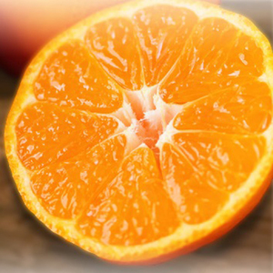 【みかん】 温州みかん 2kg ｜ 愛媛県松山市【FT102】