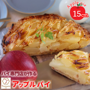 アップルパイ ホール 直径 15cm 4から5人分｜ りんご アップルパイアップルパイアップルパイアップルパイ【AKR002】
