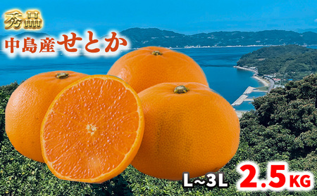 【3月上旬から発送】 【秀品】 松山市 中島産 松山市中島産 せとか L～3Lサイズ　2.5kg （ 愛媛みかん 愛媛ミカン みかん ミカン mikan 蜜柑 柑橘 フルーツ 果物 くだもの お取り寄せ 産地直送 数量限定 人気 おすすめ 愛媛 松山 フジ・アグリフーズ）【FA0941】