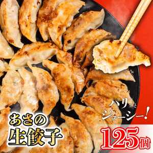 あさの生餃子 【25個入×5パック 計125個】セット 詰め合わせ 餃子のたれ 国産 ぎょうざ 餃子 餃子 餃子 餃子 餃子 餃子 餃子 餃子 餃子 【ASN0021】