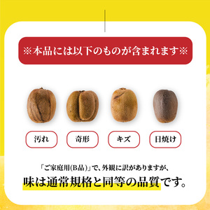 キウイフルーツ ヘイワード 2.5kg サイズ混合 家庭用 【先行予約 2026年10月下旬から発送】 | きうい 果物 キウイくだもの フルーツ おすすめ  人気 お取り寄せ グルメ ギフト 期間限定 数量限定 ご当地 愛媛県 松山市【RNK0161】