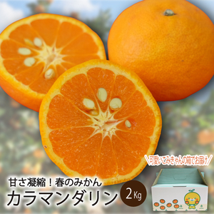 【みかん】【2026年4月上旬～5月下旬頃順次発送】  カラマンダリン 2kg（2L～S）｜みかん【SSK0171】