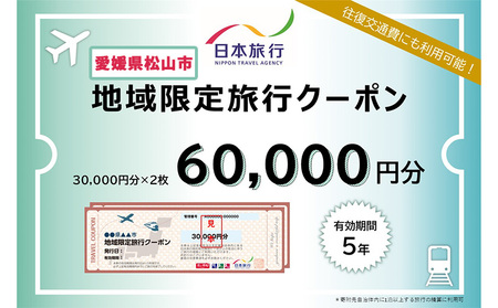 愛媛県松山市 日本旅行 【地域限定旅行クーポン 60,000 円】 旅行 トラベル チケット 宿泊 宿泊券 旅館 予約 観光 愛媛県 松山市 人気 おすすめ 【NTA003】