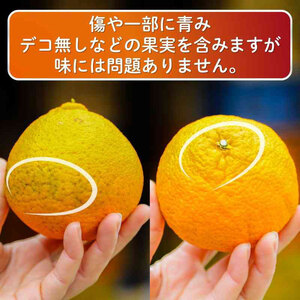 【デコポンと同品種】 家庭用 不知火（しらぬい）3kg デコポン【2026年2月～3月発送】【MCF0161】