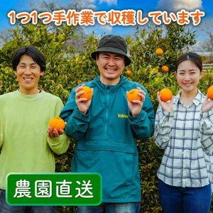 【デコポンと同品種】 家庭用 不知火（しらぬい）3kg デコポン【2026年2月～3月発送】【MCF0161】