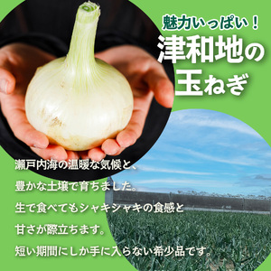 【先行予約】 津和地新玉ねぎ 3kg【津和地ブランド玉ねぎ】| 玉ねぎ玉ねぎ玉ねぎ玉ねぎ玉ねぎ玉ねぎ 【YMN001】