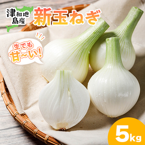 【先行予約】 津和地新玉ねぎ 5kg【津和地ブランド玉ねぎ】 | 玉ねぎ 玉ねぎ 玉ねぎ 玉ねぎ 玉ねぎ たまねぎ たまねぎ たまねぎ【YMN002】