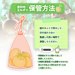 【先行予約】 津和地新玉ねぎ 5kg【津和地ブランド玉ねぎ】 | 玉ねぎ 玉ねぎ 玉ねぎ 玉ねぎ 玉ねぎ たまねぎ たまねぎ たまねぎ【YMN002】