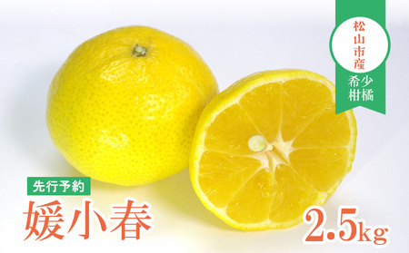 媛小春 2.5kg 家庭用 | みかん みかん みかん みかん みかん【YBN001】