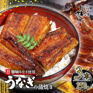 【うなぎ】〈うなぎ屋かわすい〉愛媛県松山市養殖うなぎを使用！うなぎ蒲焼 3本 (1尾：150～169g)   【KWS00801】