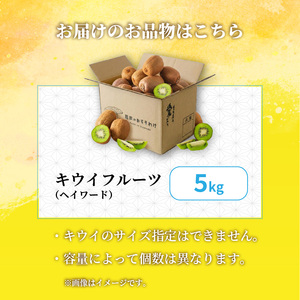 キウイフルーツ ヘイワード 5kg サイズ混合 家庭用 【先行予約 2026年10月下旬から発送】 | きうい 果物 キウイくだもの フルーツ おすすめ 人気 お取り寄せ グルメ ギフト 期間限定 数量限定 ご当地 愛媛県 松山市 【RNK0191】