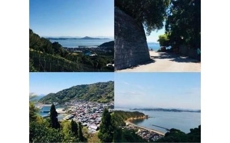 【せとか】【2026年2月下旬より発送】 せとか 4kg 【B級品】【TMN025】