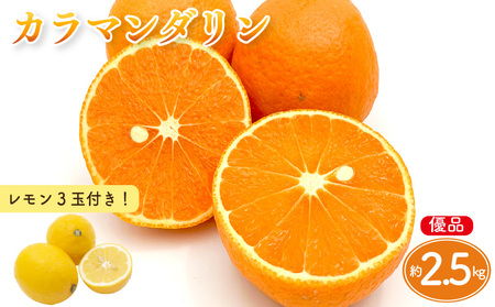 【先行予約】カラマンダリン 家庭用(優品) 約2.5kg & 瀬戸内海の島レモン 3玉 セット | みかん 【KK319】