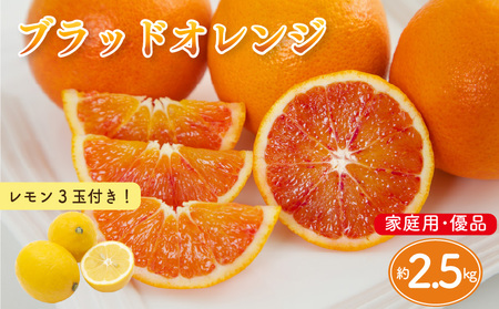 【先行予約】ブラッドオレンジ 家庭用(優品) 約2.5kg & 瀬戸内海の島レモン 3玉 セット | 柑橘 みかん れもん 愛媛県 松山市 【KK320】