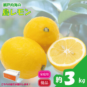 【先行予約】【レモン】 瀬戸内海の島レモン (優品・家庭用) 3kg | 愛媛県松山市【KK325】