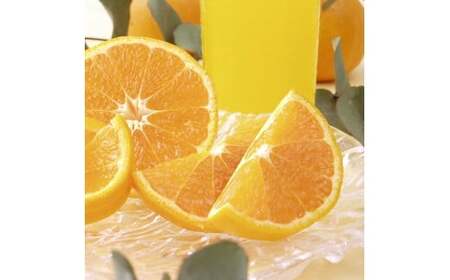 【2026年5月上旬から発送予定】完熟春みかん カラマンダリン 5kg M~2Lサイズ【FT036】