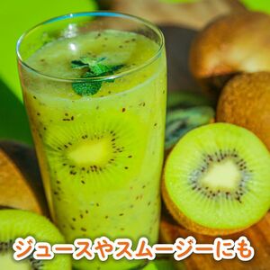 家庭用 キウイフルーツ ヘイワード 約1.5kg 愛媛県産 【1月上旬~2 月下旬頃発送予定】 【MCF017】