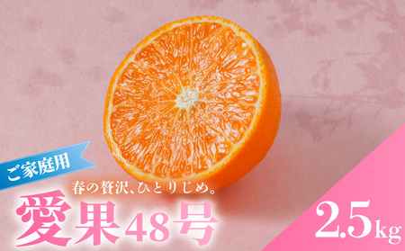 【2026年3月上旬から発送】 愛果48号 家庭用 約2.5kg | あいか48号 【RNK023】