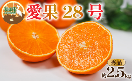 【12月上旬から発送】【秀品】 愛果28号 (紅まどんな と同品種) 約2.5kg | あいか28号 みかん 柑橘 【KNN001】