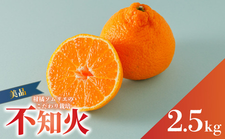 【先行予約】 【先行予約】【3月上旬から発送】 不知火(デコポンと同一品種) 美品 約 2.5kg | 不知火(デコポンと同一品種) 美品 約 2.5kg |みかん ミカン 柑橘 蜜柑 果物 くだもの フルーツ おすすめ 人気 お取り寄せ グルメ ギフト 期間限定 数量限定 ご当地 愛媛県 松山市 蓮果園【RNK022】