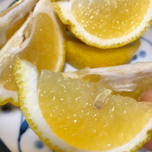 春を呼ぶ はるか 家庭用 4kg | みかん 柑橘 果物 ミカン【HMN011】