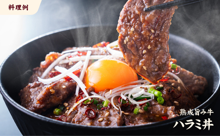 【ハラミ】 熟成旨み牛やわらかハラミカット 3kg 愛媛県松山市【NGB003】