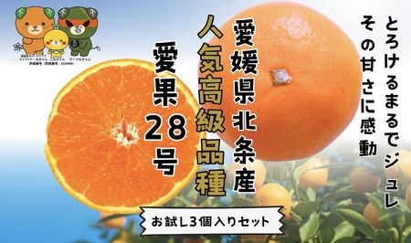 【紅まどんな と同品種】 愛果28号 お試し3個入りセット 【DCR016】