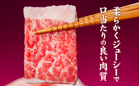 【カルビ】 牛肉 カルビ スライス バラ凍結 1kg インジェクション加工 【NGB006】