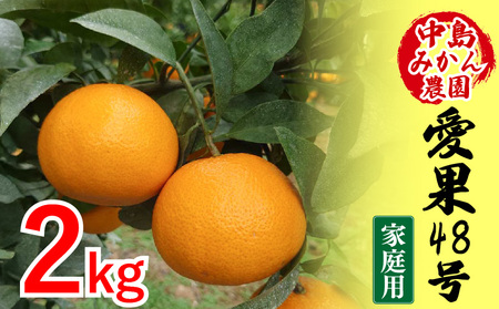 【2026年3月から発送予定】 愛果48号 家庭用 2kg | あいか 家庭用 紅プリンセス と同品種 先行予約 高級 蜜柑 ミカン みかん ジューシー 甘い 柑橘 人気 お取り寄せ 期間 数量 限定 愛媛 松山 中島みかん農園【NM030】