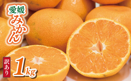 【みかん】訳あり 愛媛みかん  1kg | 愛媛県 松山市 【VEG102】