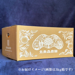 いよかん 宮内伊予柑 3kg みかん 【HMN014】