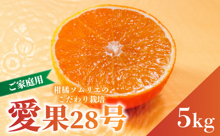 愛果28号 (紅まどんな と同品種) 家庭用 お試し 1kg 【2025年11月中旬から発送】 | 愛果 あいか 紅まどんな 紅マドンナ と 同品種 みかん まどんな ワケアリ 訳あり B品 柑橘 みかん 果物 おすすめ 高級 人気 お取り寄せ グルメ ギフト 期間 ご当地 愛媛県 松山市 蓮果園 【RNK024】