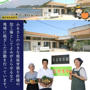 【特選】せとか 3kg 【あまや】 蜜柑 みかん 愛媛 松山 【NS019】