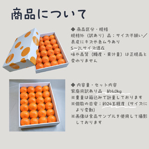 【紅まどんな と同品種】訳あり 愛果28号 約4.0kg | まどんな 【HNT019】