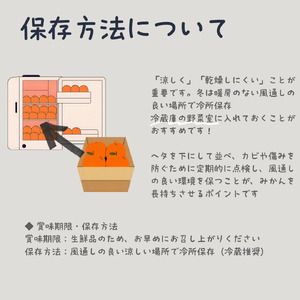 【紅まどんな と同品種】訳あり 愛果28号 約4.0kg | まどんな 【HNT019】
