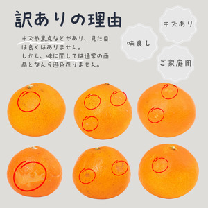 【紅まどんな と同品種】訳あり 愛果28号 約4.0kg | まどんな 【HNT019】