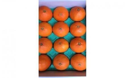 【紅まどんな】紅まどんな約3kg青秀以上 L-3L 【AB0062】