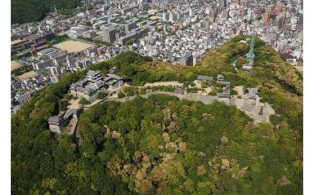 セスナ機 遊覧飛行チケット（15分）／3名様まで搭乗可【EHK0011】