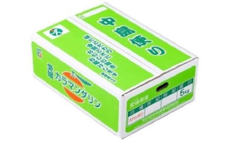 【先行受付】☆100セット限定☆JA特選品 カラマンダリン（秀品S～2L 約5kg） おすすめ人気【EN003_x】