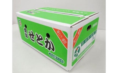 ★300セット限定★ JA特選品 せとか5kg　(赤秀・青秀いずれかL～3L) せとか 柑橘 せとか みかん せとか【EN006_x】