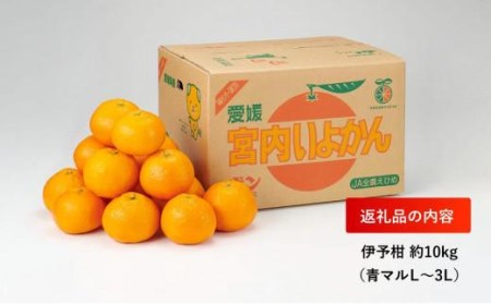 ★200セット限定★ JA特選品　伊予柑10kg（青マルＬ?3Ｌ）いよかん 伊予柑 柑橘 いよかん 伊予柑 いよかん いよかん【EN0071】