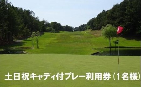 【ゴルフ利用券】エリエール ゴルフクラブ松山 土日祝キャディ付プレー利用券１名 | ゴルフ ゴルフ ゴルフ ゴルフ【ER005】