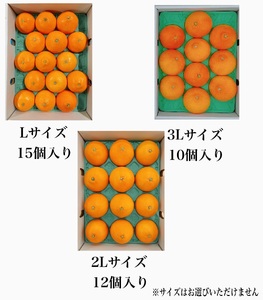 【11月下旬から発送】 紅まどんな（食べ比べ）セット 【FA0122】