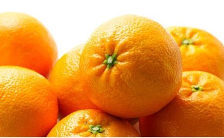 【発送は1月下旬から】 松山市中島産 伊予柑 Lから2Lサイズ 5kg （ 国産 愛媛みかん 愛媛ミカン みかん ミカン mikan 蜜柑 柑橘 フルーツ 果物 くだもの お取り寄せ 産地直送 数量限定 人気 おすすめ 愛媛県 松山市 送料無料 フジ・アグリフーズ）【FA0161】