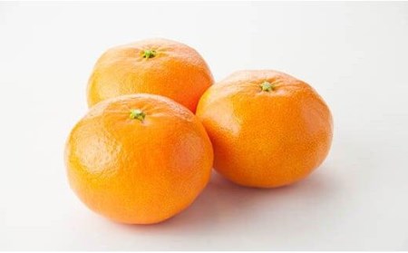 【発送は1月下旬から】 松山市中島産 甘平 L～3Lサイズ 国産 愛媛みかん 愛媛ミカン みかん ミカン mikan 蜜柑 柑橘 フルーツ 果物 くだもの お取り寄せ 産地直送 数量限定 人気 おすすめ 愛媛県 松山市 送料無料 フジ・アグリフーズ）【FA0182】