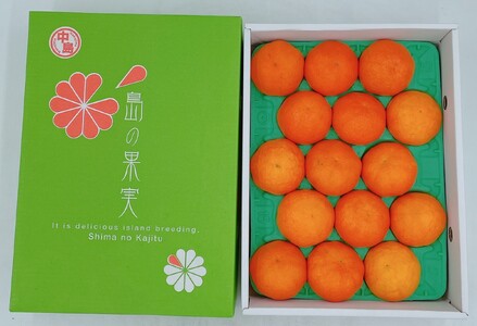 【発送は1月下旬から】 松山市中島産 甘平 L～3Lサイズ 国産 愛媛みかん 愛媛ミカン みかん ミカン mikan 蜜柑 柑橘 フルーツ 果物 くだもの お取り寄せ 産地直送 数量限定 人気 おすすめ 愛媛県 松山市 送料無料 フジ・アグリフーズ）【FA0182】